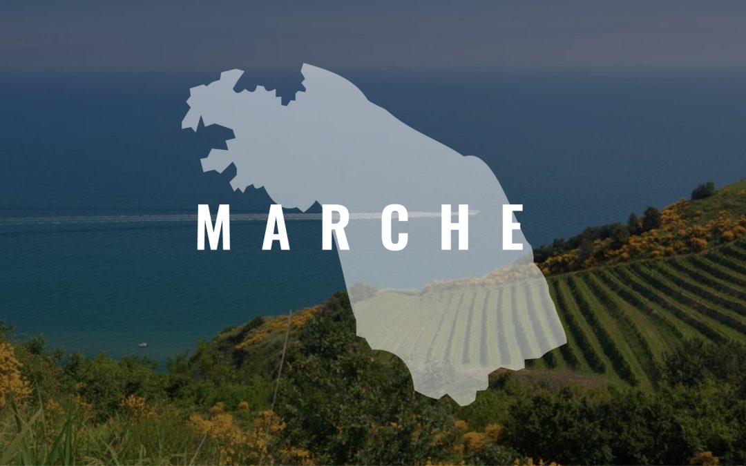 Marche