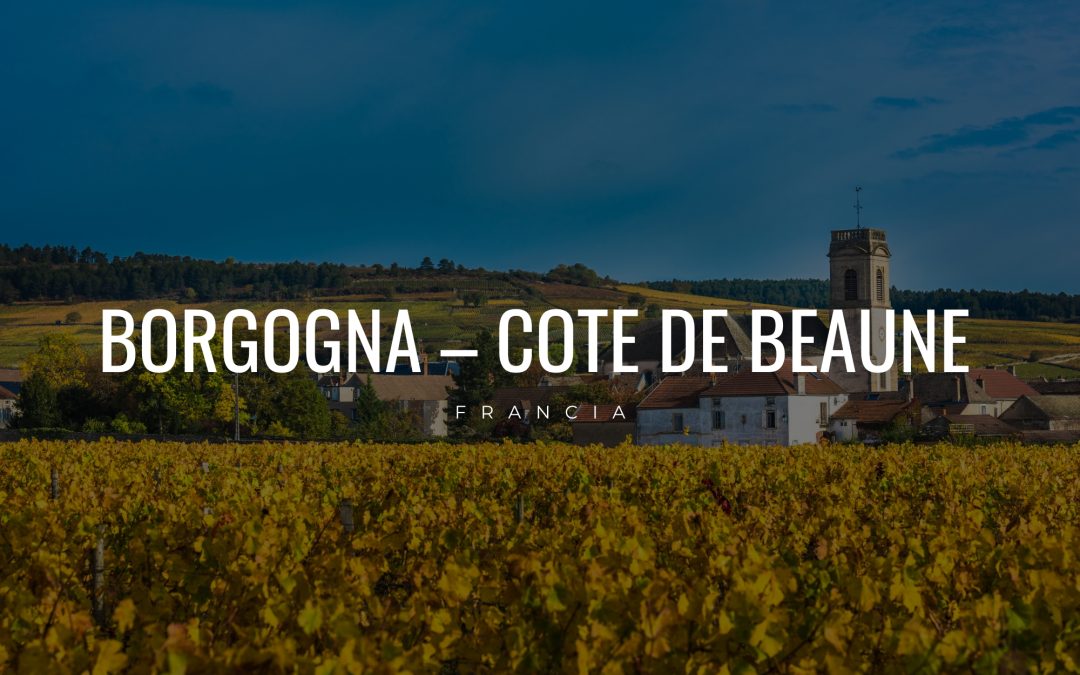 Borgogna-Cote de beaune