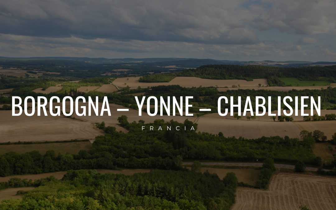 Borgogna – Yonne – Chablisien