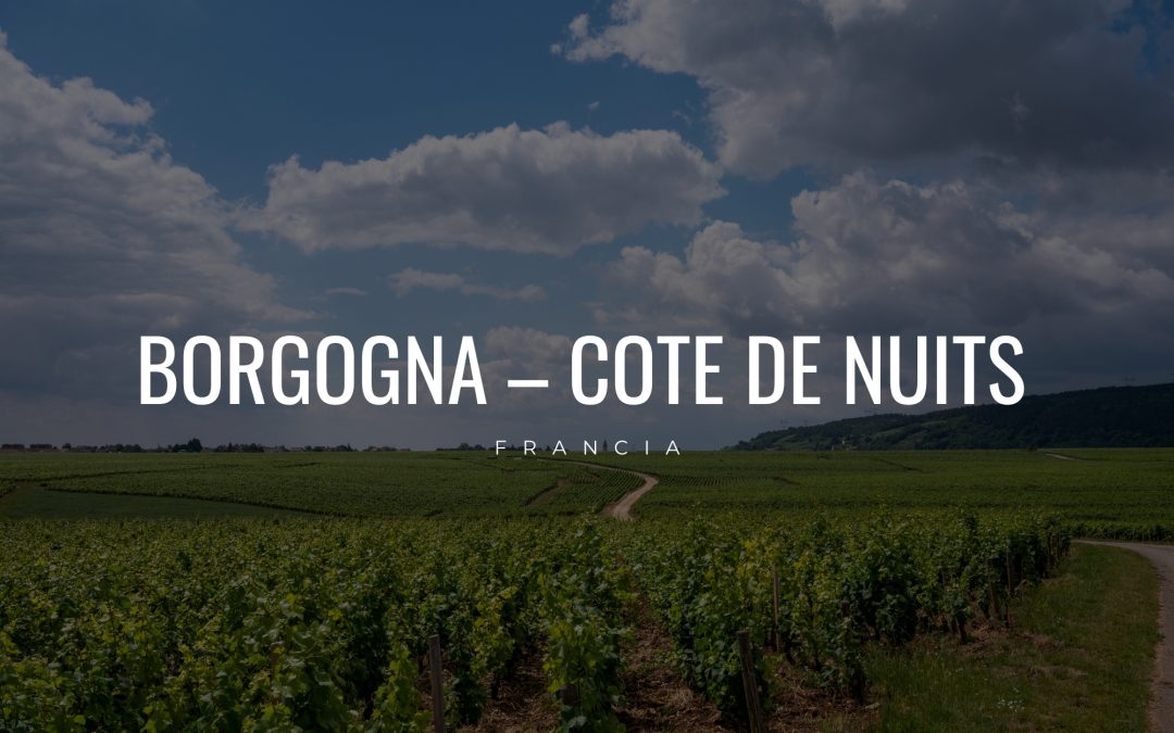 Borgogna – Cote de nuits