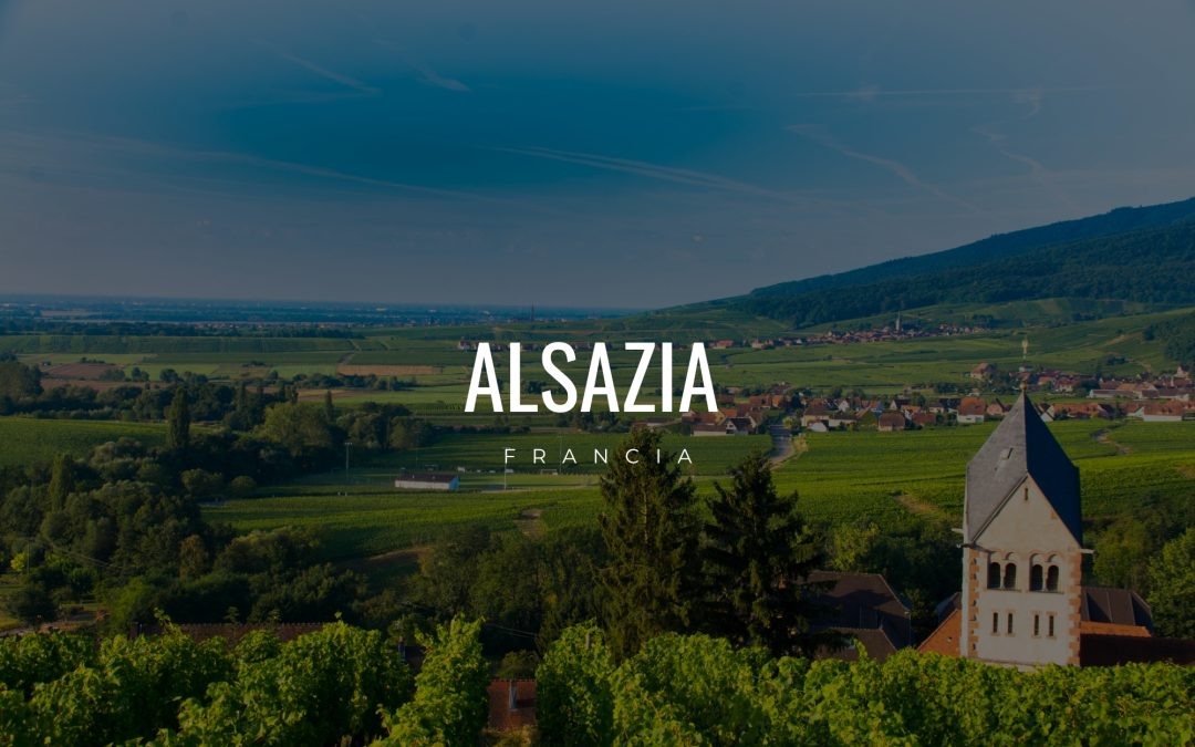 Alsazia
